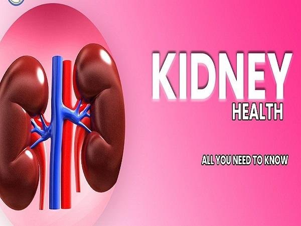 Kidney Problems: Causes | Symptoms | Treatment Medicine