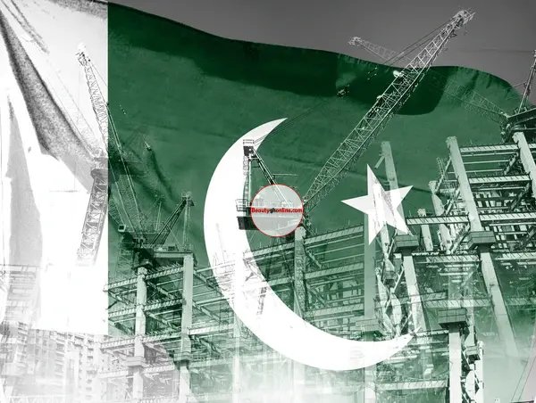 Pakistan's LSM Faces Domestic and Global Challenges in 25