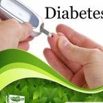 Type 2 Diabetes Treatments Medicine for Insulin Regulation in Accra, Ghana